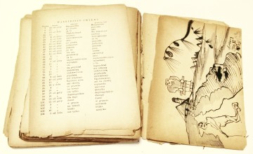 Oczyszczanie grafiki 8 przed