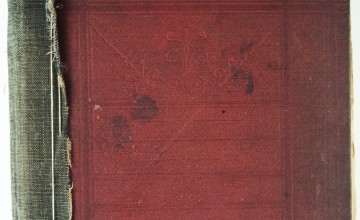 Renowacja płótna 1 przed